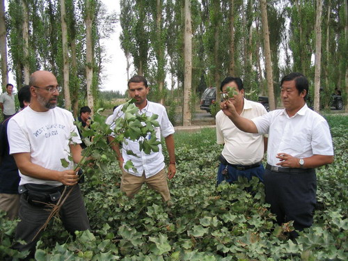 希臘金西公司客商來(lái)訪(fǎng)