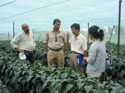 希臘金西公司客商來(lái)訪(fǎng)