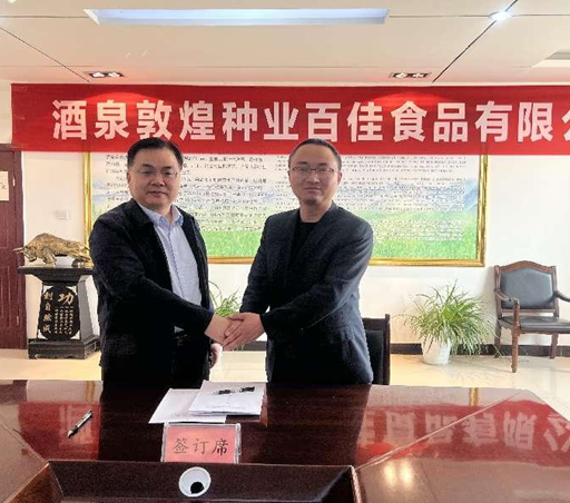 “三抓三促”進行時 | 深學(xué)細(xì)悟 篤行實干——酒泉敦煌種業(yè)百佳食品有限公司“三抓三促”行動紀(jì)實